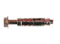 Loose Bolt Shield Anchor